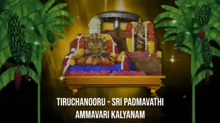 Tiruchanooru - Sri Padmavathi Ammavari Kalyanam on SVBC3