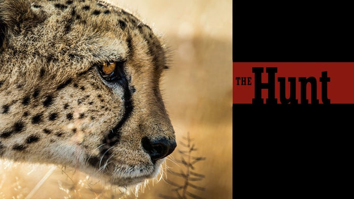 Predators Episode No.4 on JioTV