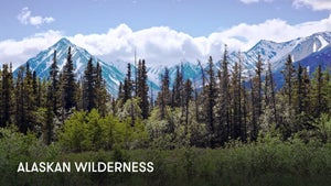 Forest and Mountains, Alaska on Stingray Naturescape - future program