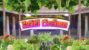 Perati Ruchulu on ETV Abhiruchi - past program