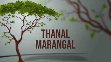 Thanal Marangal on Shalom