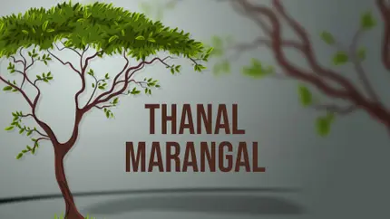 Thanal Marangal on Shalom