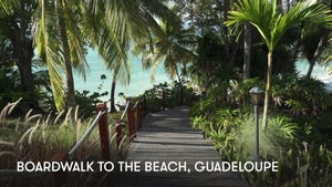 Boardwalk to the Beach: Guadeloupe on Stingray Naturescape - future program