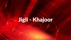 Jigli - Khajoor on Newz Room Gujarat - past program
