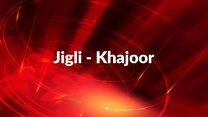 Jigli - Khajoor on Newz Room Gujarat - past program