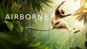 Airborne on Animal Planet Hindi - past program