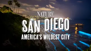 San Diego: America's Wildest City on Animal Planet HD English - past program