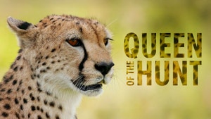 Queen Of The Hunt on Animal Planet HD English - past program