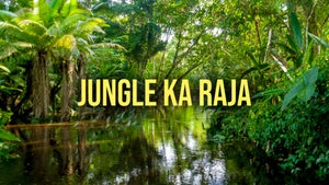 Jungle ka Raja on Pasand - future program