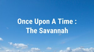 Once Upon A Time : The Savannah on Animal Planet Hindi