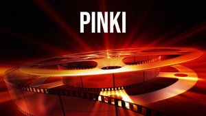 Pinki on DD National - past program