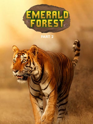 Emerald Forest - Part 2 on Epic - live program