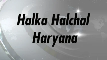 Halka Halchal Haryana on Velicham Tv
