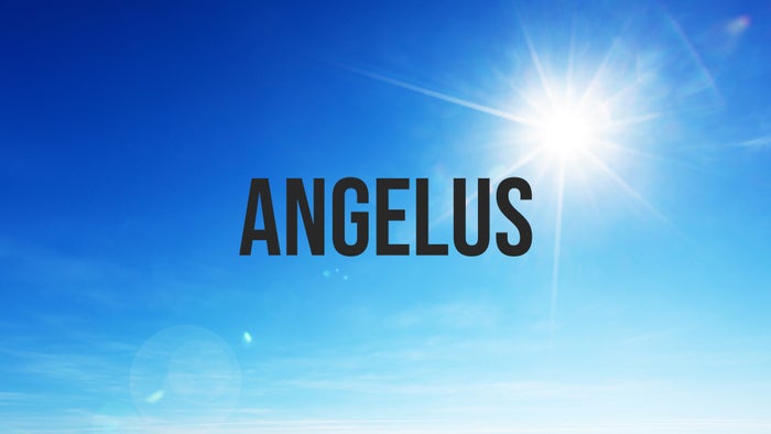 Angelus on JioTV