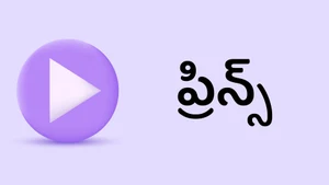 Prince on Raj News Telugu - past program