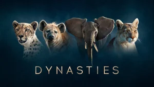 Dynasties on Sony BBC Earth SD - past program