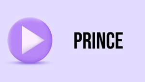 Prince on Raj News Telugu - past program