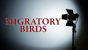 Migratory Birds on DD Kashir - past program