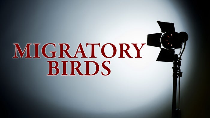 Migratory Birds on JioTV