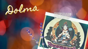 Dolma on DD bharati - past program