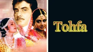 Tohfa on Sony MAX2 - past program