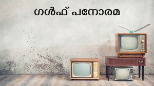 Gulf Panorama on Amrita TV - past program