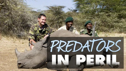 Predators in Peril on Animal Planet HD World