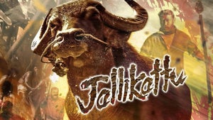 Jallikattu on Kairali WE TV - past program