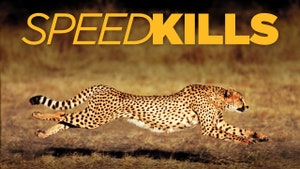 Speed Kills on Animal Planet Hindi