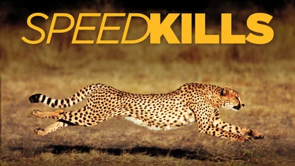 Speed Kills on Animal Planet English