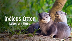 My Otter Diary on Animal Planet HD Hindi - past program