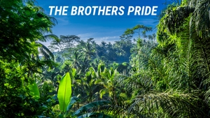 The Brothers Pride on Animal Planet HD Tamil - past program
