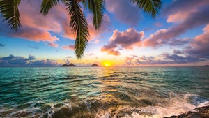 Beach Sunrise: Hawaii on Stingray Naturescape - future program