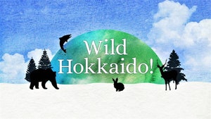 Wild Hokkaido! on NHK World Japan - past program