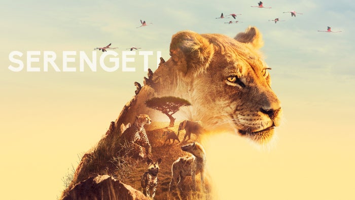 Serengeti Episode No.4 on JioTV