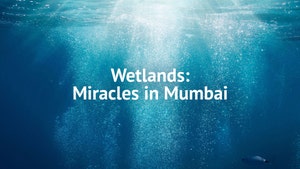 Wetlands: Miracles in Mumbai on EPIC TV - past program