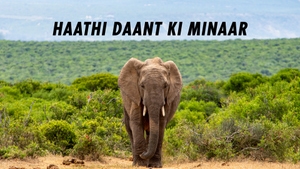 Haathi Daant Ki Minaar on DD bharati - past program
