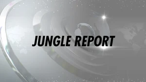 Jungle Report on News Nation