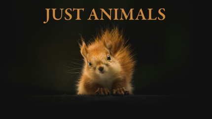 Just Animals on Animal Planet HD Tamil