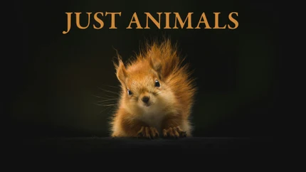 Just Animals on Animal Planet HD World