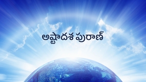Astaadhasha Pooran on Vissa TV - past program