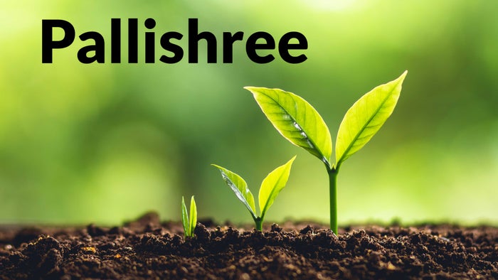 Pallishree on JioTV