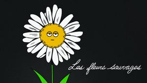 TV5 Monde on TV5 Monde - past program