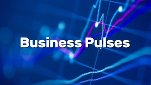 Business Pulses on HM TV - past program