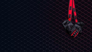 PFL Champions Series 2025: Cape Town on Eurosport - future program