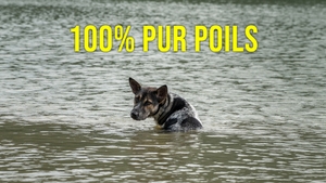 TV5 Monde on TV5 Monde - past program