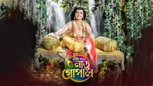 Tulsi Dhamer Naru Gopal Episode 243 on Zee Bangla HD - past program