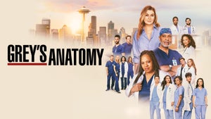 Grey's Anatomy on Zee Cafe SD - past program