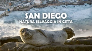 San Diego: America's Wildest City on Animal Planet English - past program