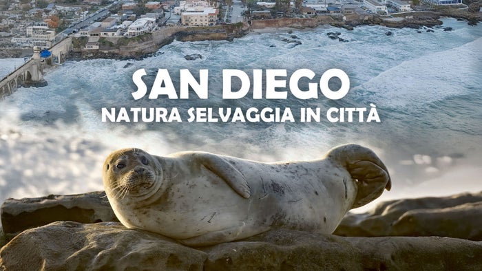 San Diego: America's Wildest City on JioTV